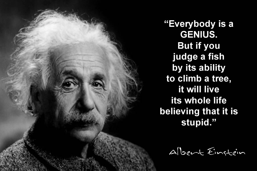 Everybody is a genius. But if you judge a fish by its ability to climb a tree, it will live its whole life believing that it is stupid | Albert Einstein